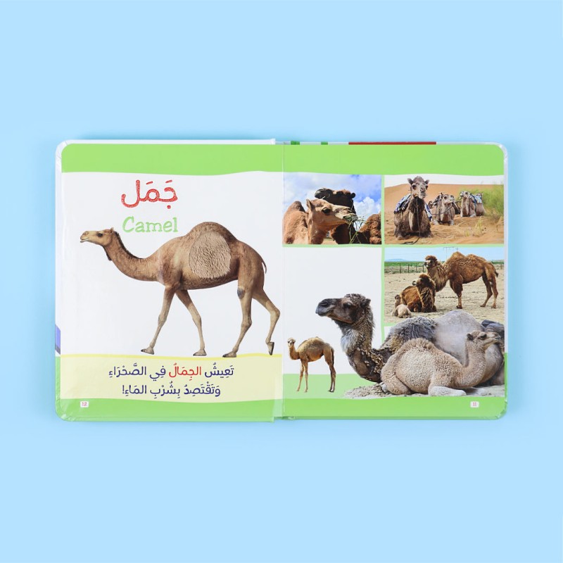 كتاب مونتيسوري الحيوانات 2